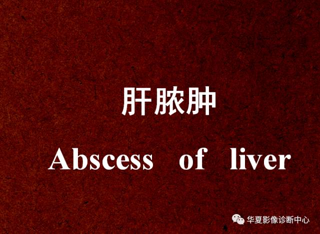 【PPT】非占位性肝病变MRI诊断