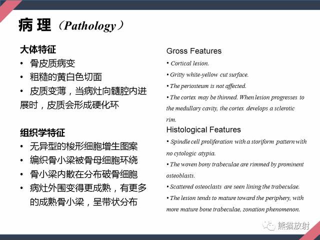 【PPT】骨肿瘤样病变——从病理到影像