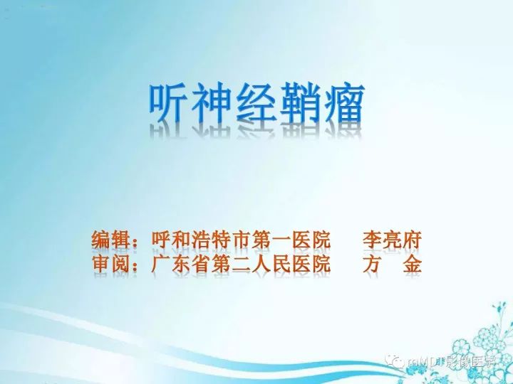 【PPT】听神经鞘瘤
