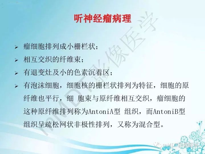 【PPT】听神经鞘瘤