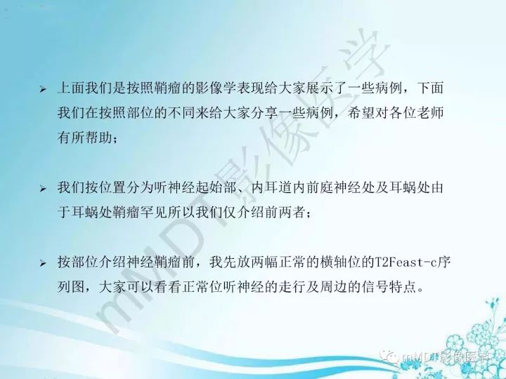 【PPT】听神经鞘瘤