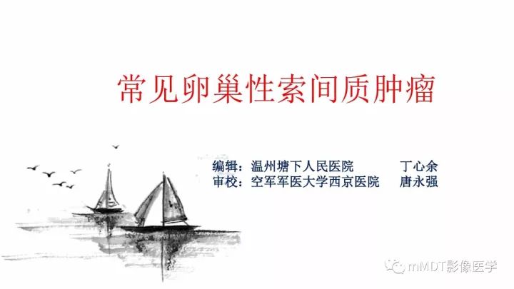 【PPT】常见卵巢性索间质肿瘤