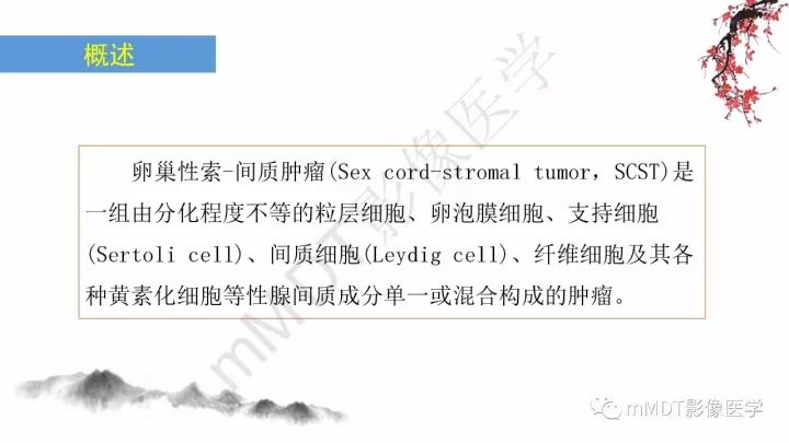【PPT】常见卵巢性索间质肿瘤