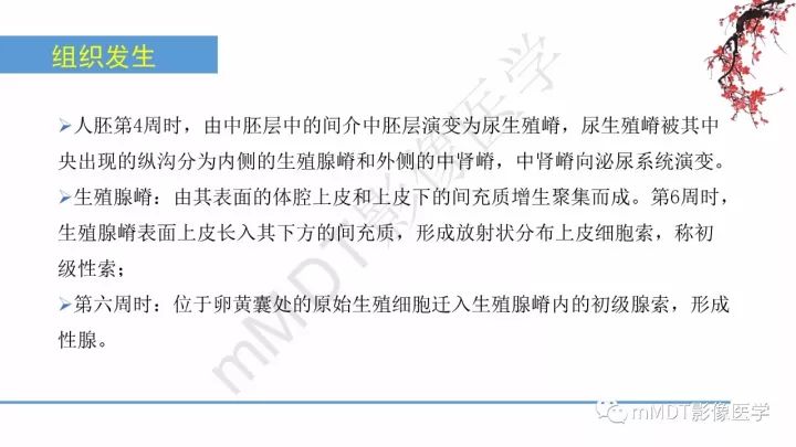 【PPT】常见卵巢性索间质肿瘤