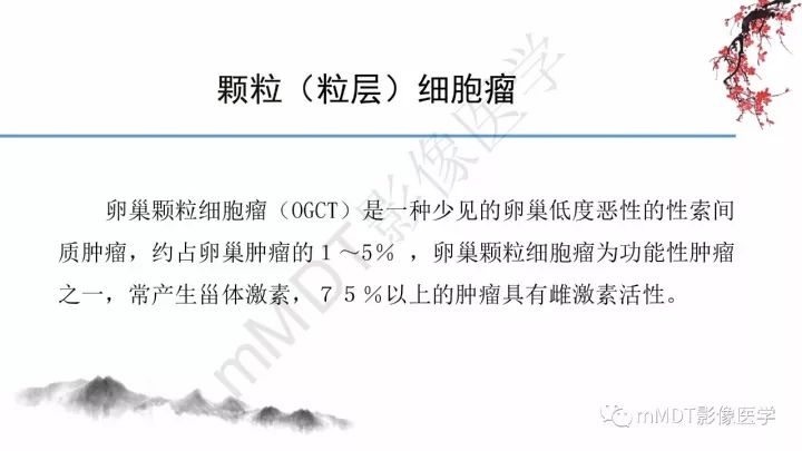 【PPT】常见卵巢性索间质肿瘤