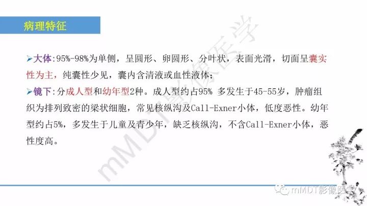 【PPT】常见卵巢性索间质肿瘤