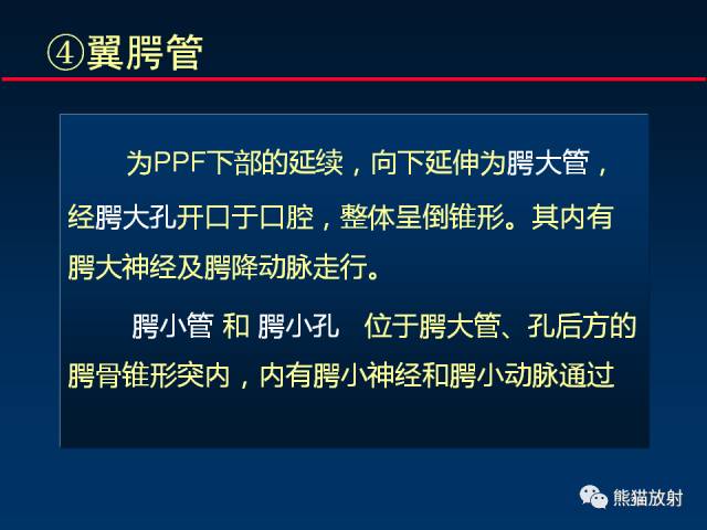 【PPT】MSCT后处理技术在显示翼腭窝解剖中的作用