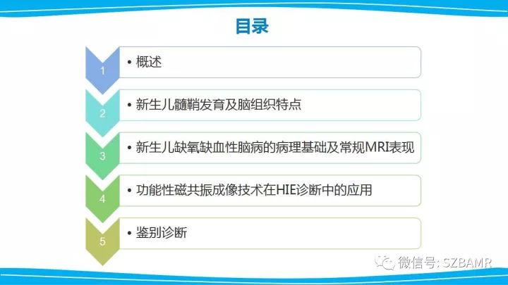 【PPT】新生儿缺氧缺血性脑病（HIE）的MRI诊断