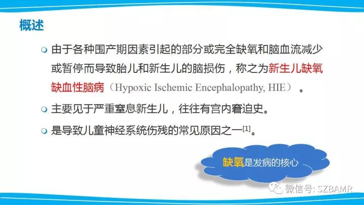 【PPT】新生儿缺氧缺血性脑病（HIE）的MRI诊断