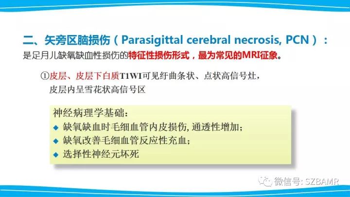【PPT】新生儿缺氧缺血性脑病（HIE）的MRI诊断