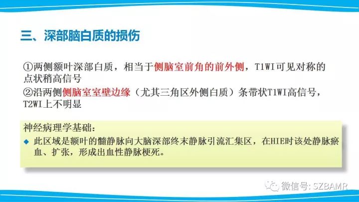 【PPT】新生儿缺氧缺血性脑病（HIE）的MRI诊断
