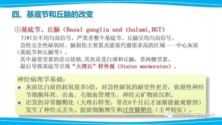 【PPT】新生儿缺氧缺血性脑病（HIE）的MRI诊断