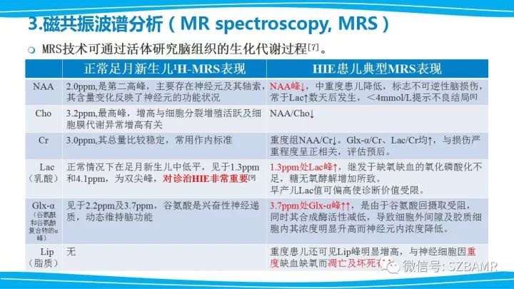 【PPT】新生儿缺氧缺血性脑病（HIE）的MRI诊断