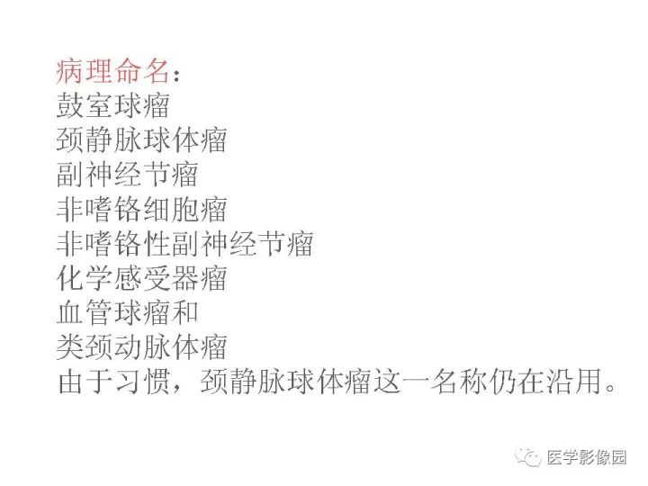 【PPT】颈静脉球瘤影像表现