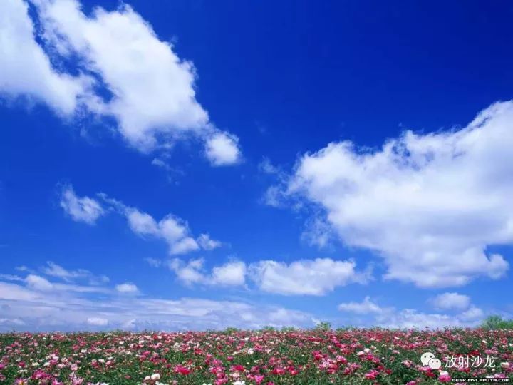 【病例】左侧坐骨大孔区纤维瘤病1例CT影像表现