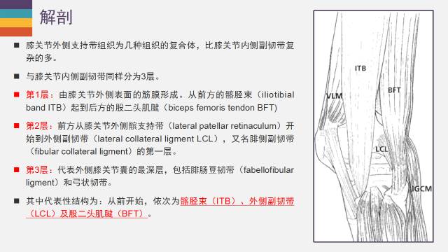 【PPT】膝关节外侧副韧带及外侧支持带解剖及损伤MR诊断