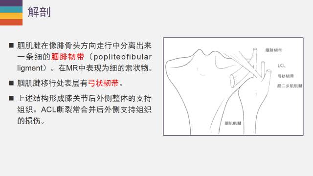【PPT】膝关节外侧副韧带及外侧支持带解剖及损伤MR诊断