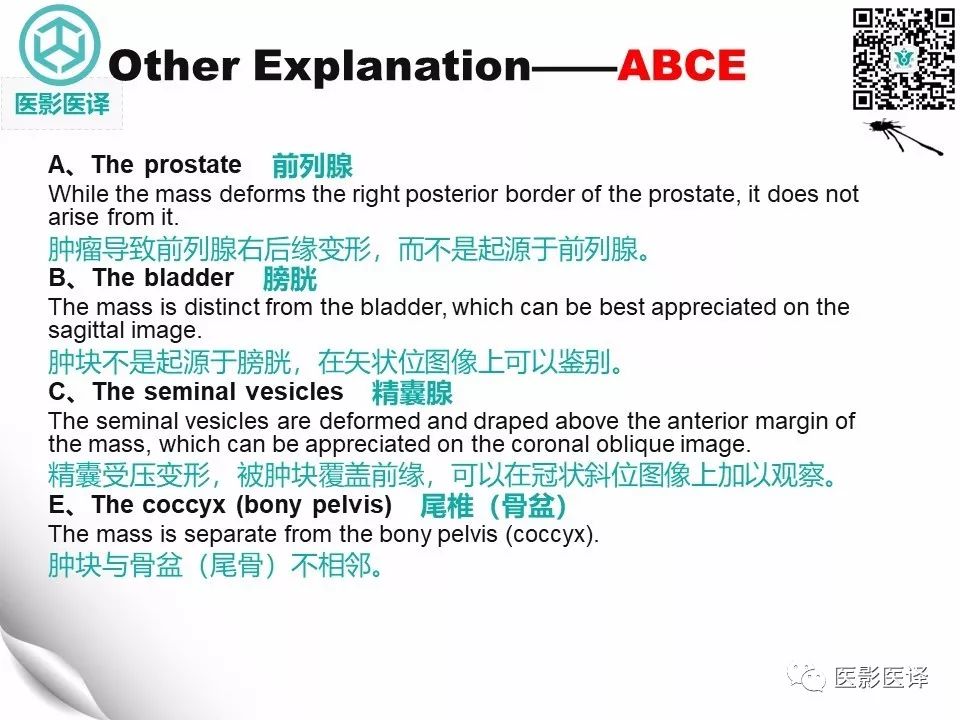 【病例】直肠间质瘤1例CT及MR