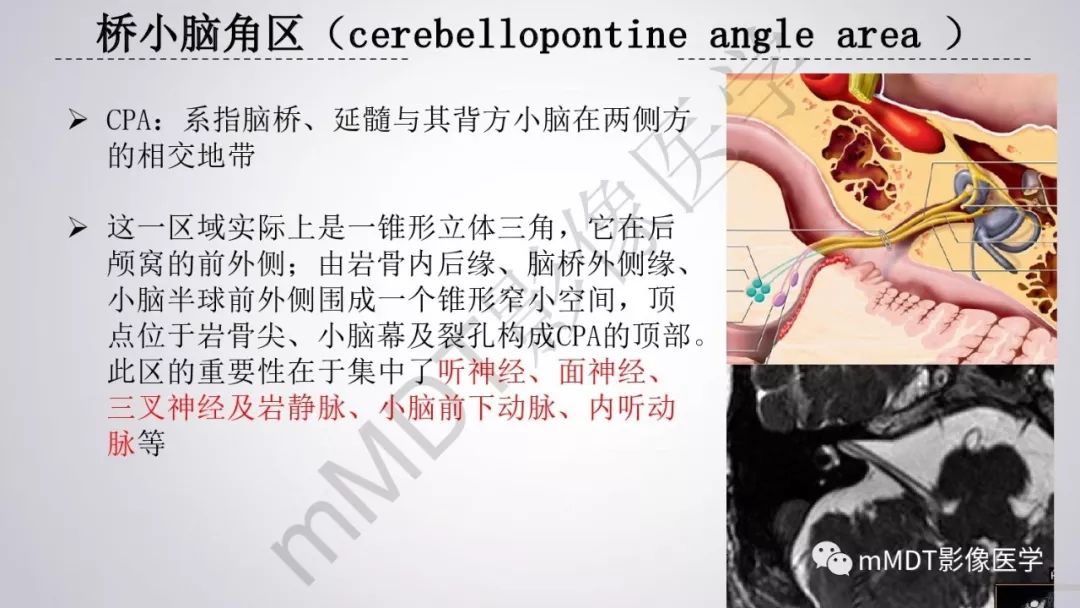 【PPT】后颅窝常见肿瘤的诊断