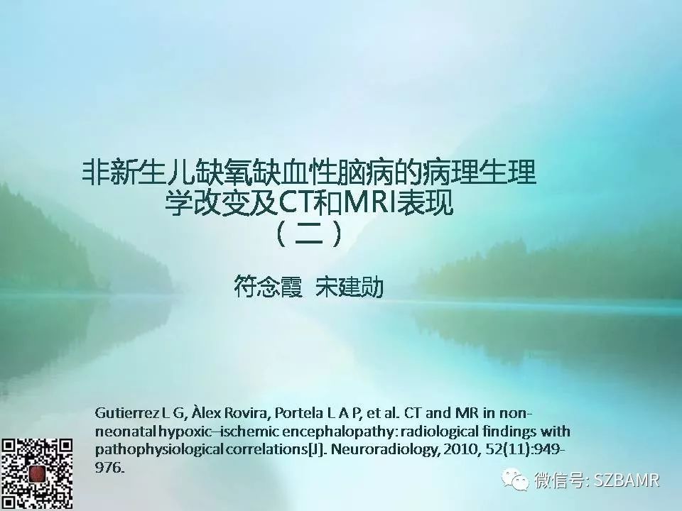 【PPT】非新生儿缺氧缺血性脑病的病理生理学改变及CT和MRI表现