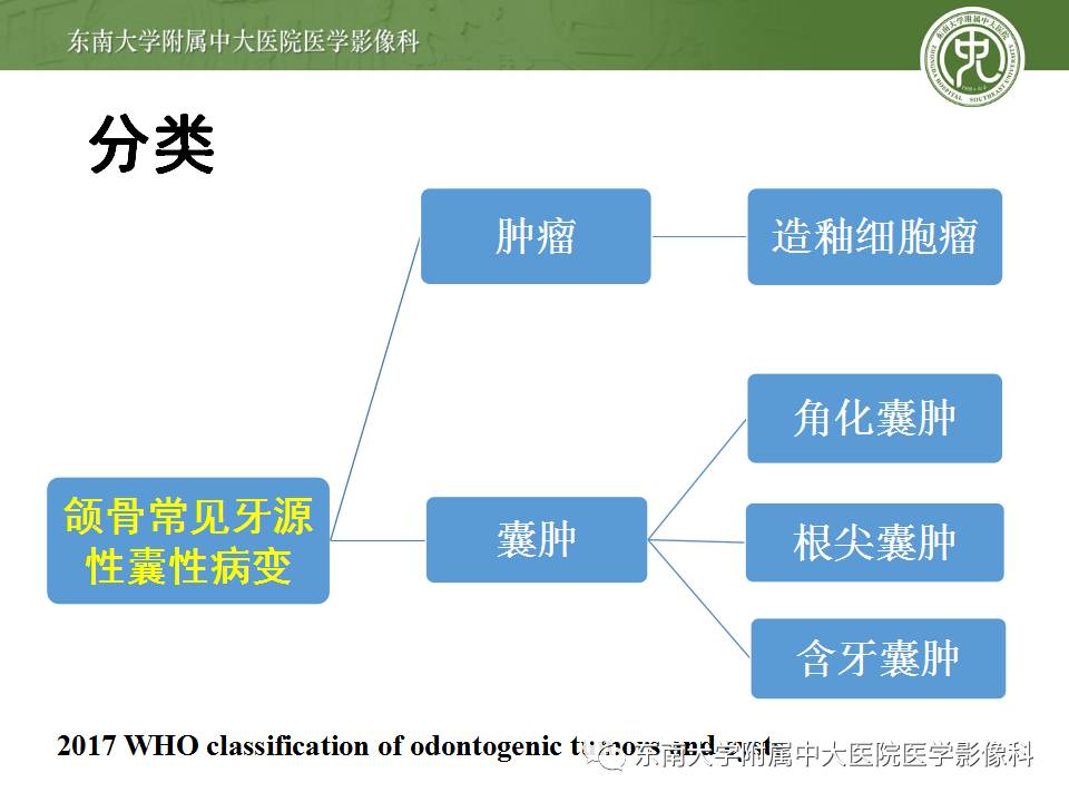 【病例】上颌骨造釉细胞瘤1例CT影像表现