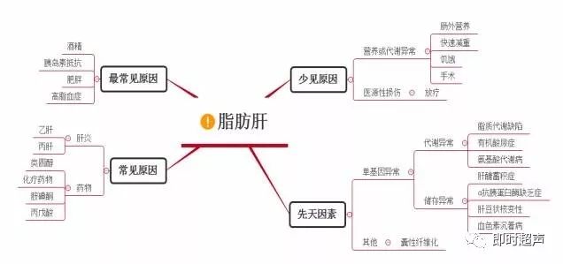 脂肪肝,常见却也不容易 脂肪肝,常见却也不容易