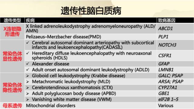 【病例】肾上腺脑白质营养不良1例MR影像诊断分析