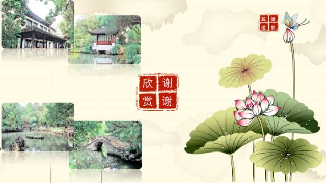 【病例】肾上腺脑白质营养不良1例MR影像诊断分析