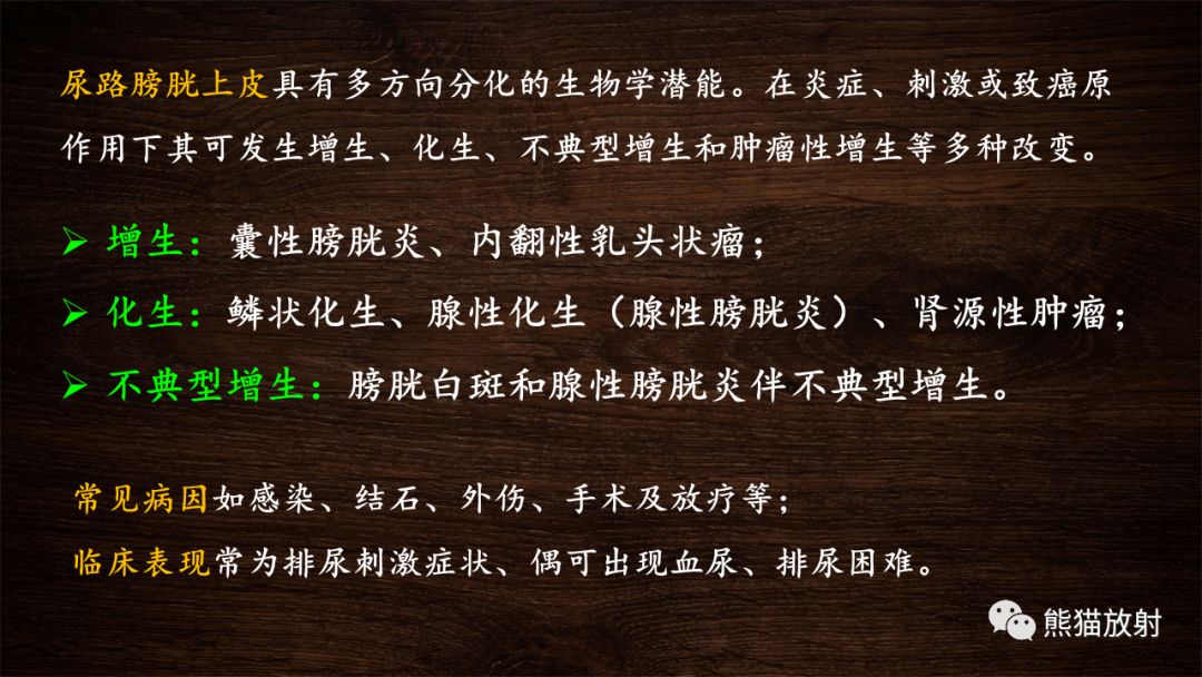 【PPT】膀胱疾病的影像学诊断
