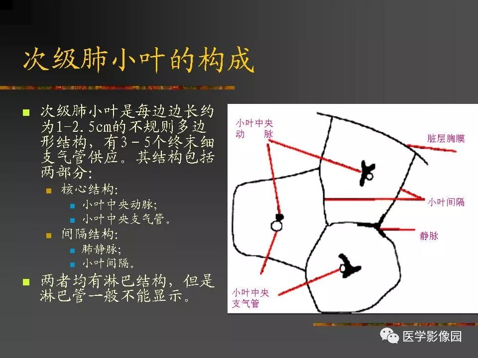 【PPT】间质性肺疾病及其影像诊断