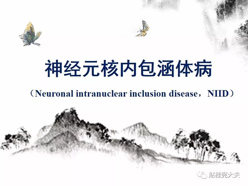 【PPT】神经元核内包涵体病（NIID）