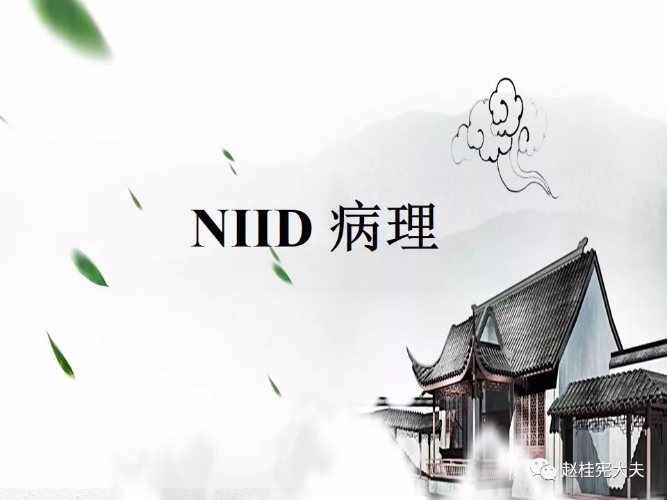 【PPT】神经元核内包涵体病（NIID）