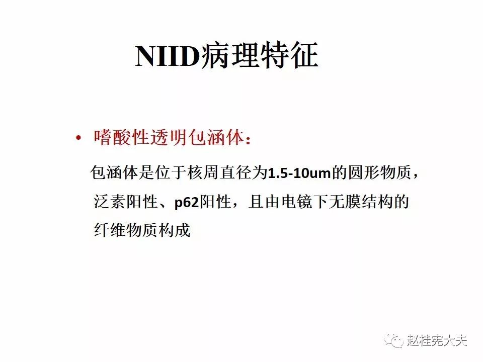 【PPT】神经元核内包涵体病（NIID）