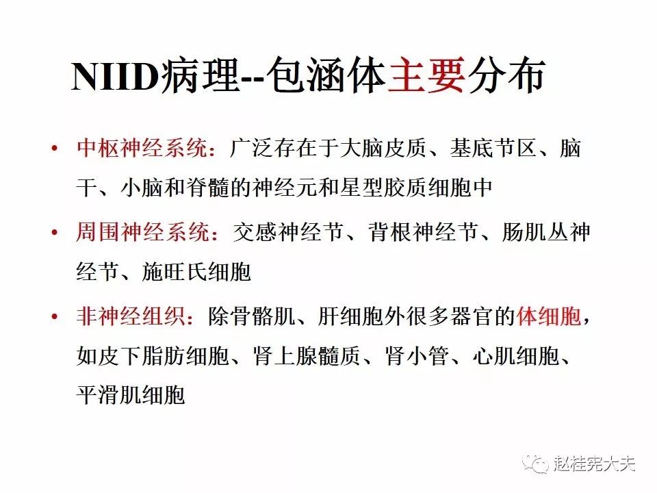 【PPT】神经元核内包涵体病（NIID）