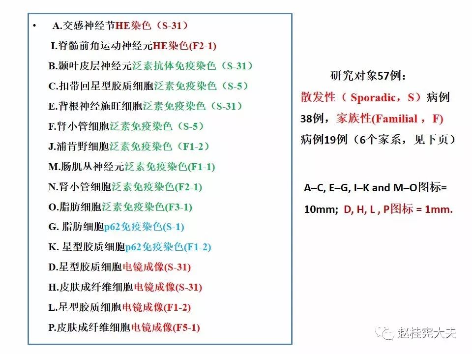【PPT】神经元核内包涵体病（NIID）