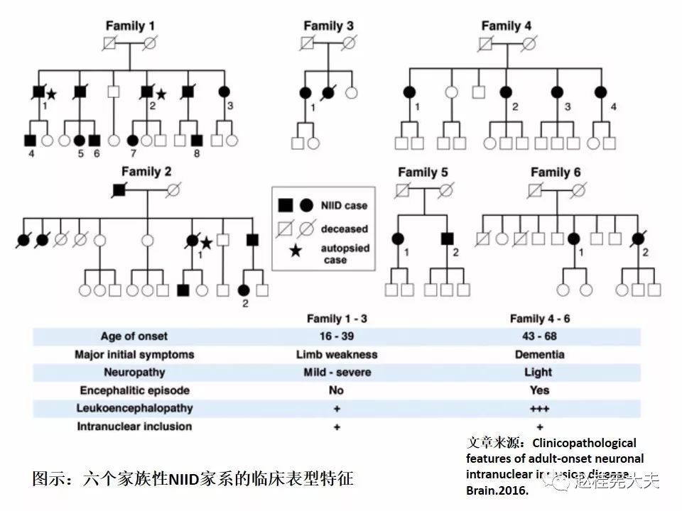 【PPT】神经元核内包涵体病（NIID）