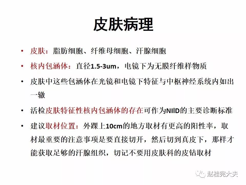 【PPT】神经元核内包涵体病（NIID）