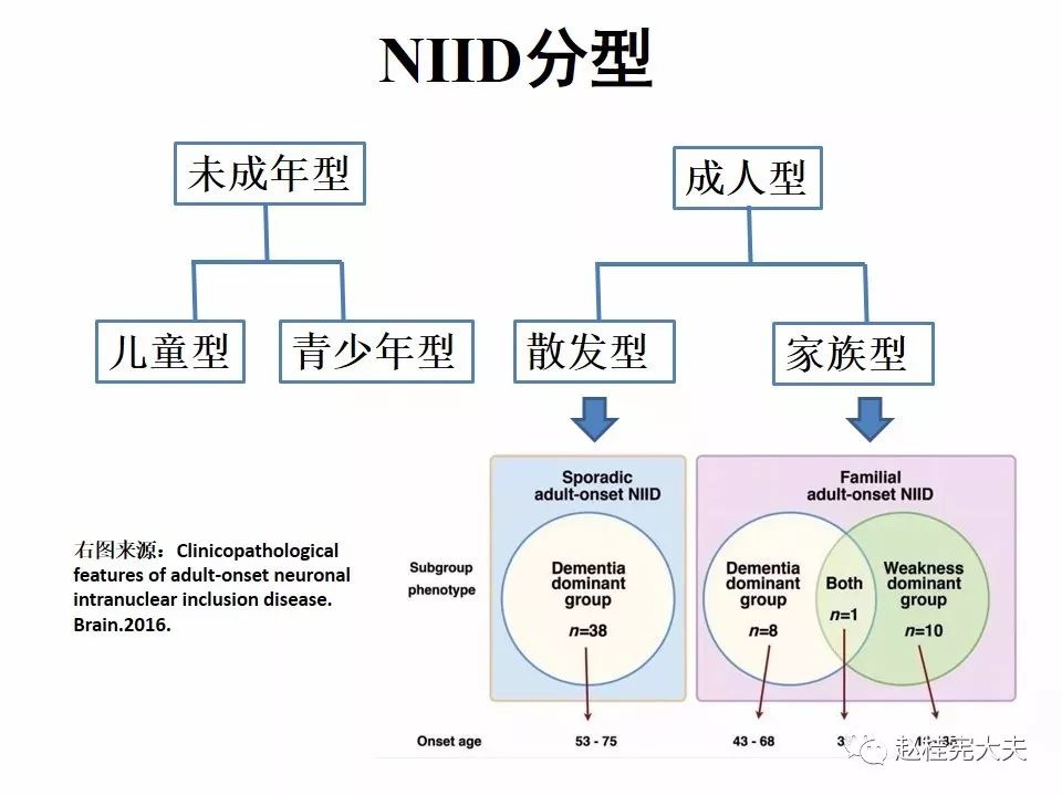 【PPT】神经元核内包涵体病（NIID）