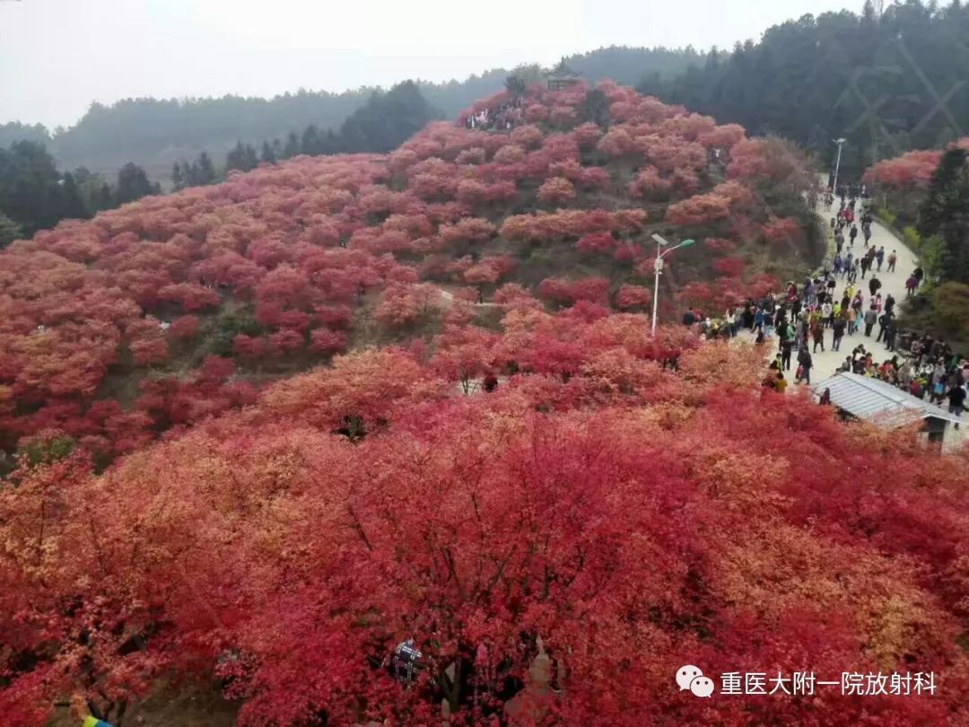 【PPT】孤立性纤维瘤的影像学诊断及鉴别诊断