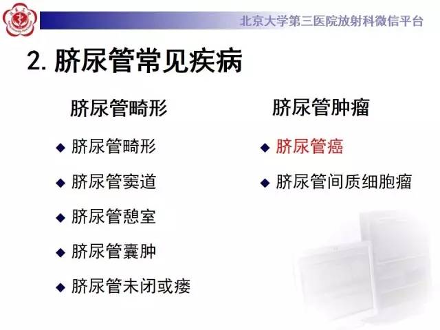 【病例】脐尿管癌1例CT影像诊断