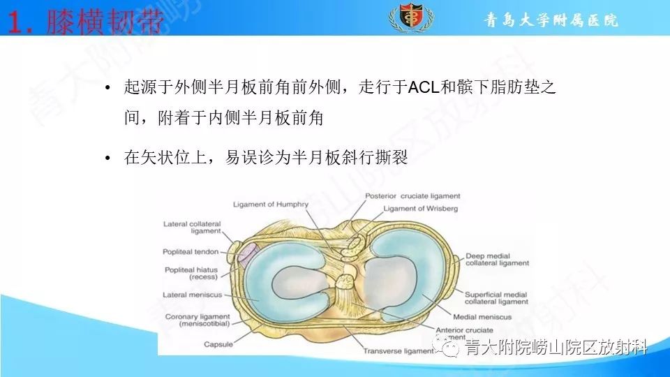 【PPT】外侧半月板“假撕裂征”