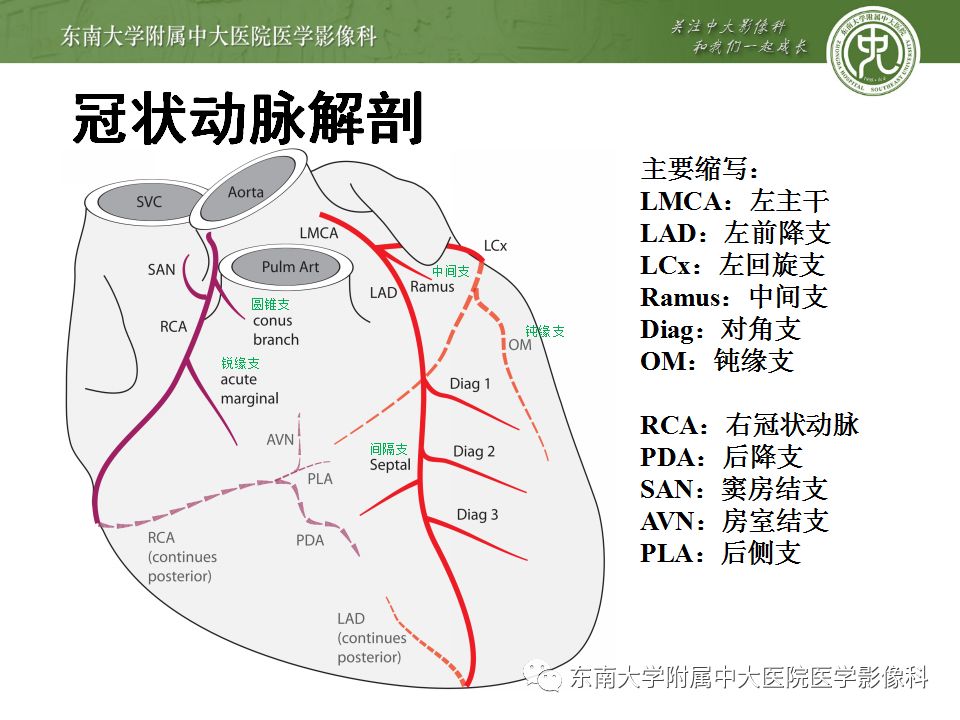 【病例】冠脉CTA一例—冠脉疾病报告和数据系统