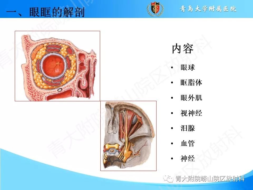 【PPT】眼眶肿瘤的影像诊断