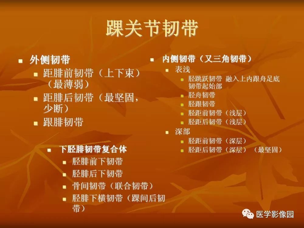 【PPT】踝关节韧带的解剖及影像表现