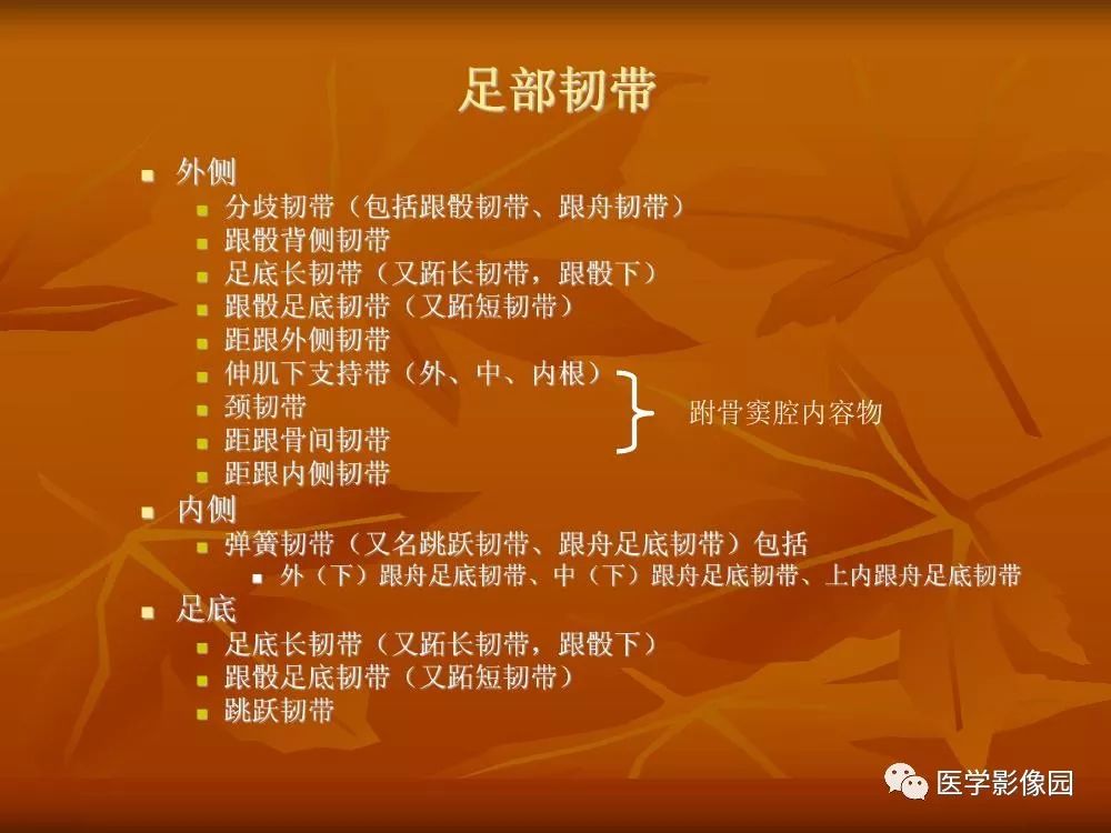 【PPT】踝关节韧带的解剖及影像表现