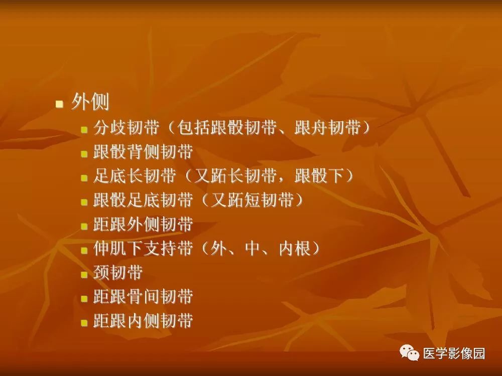 【PPT】踝关节韧带的解剖及影像表现