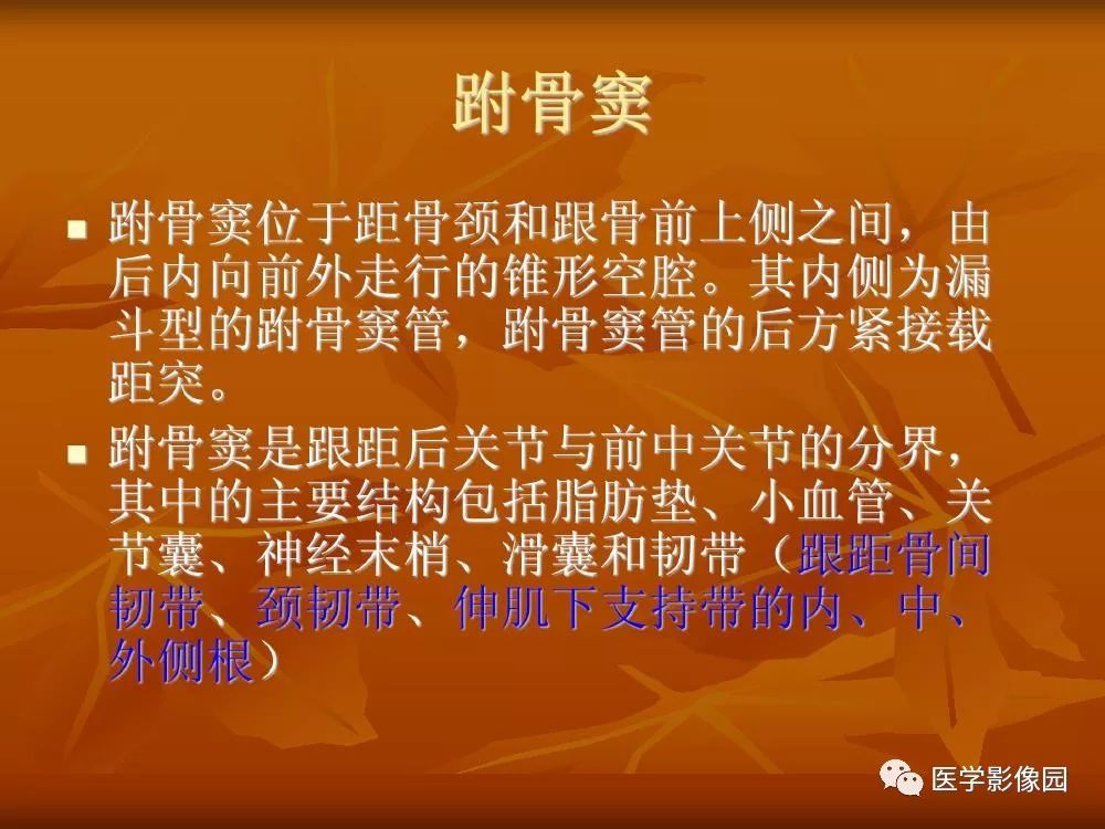 【PPT】踝关节韧带的解剖及影像表现