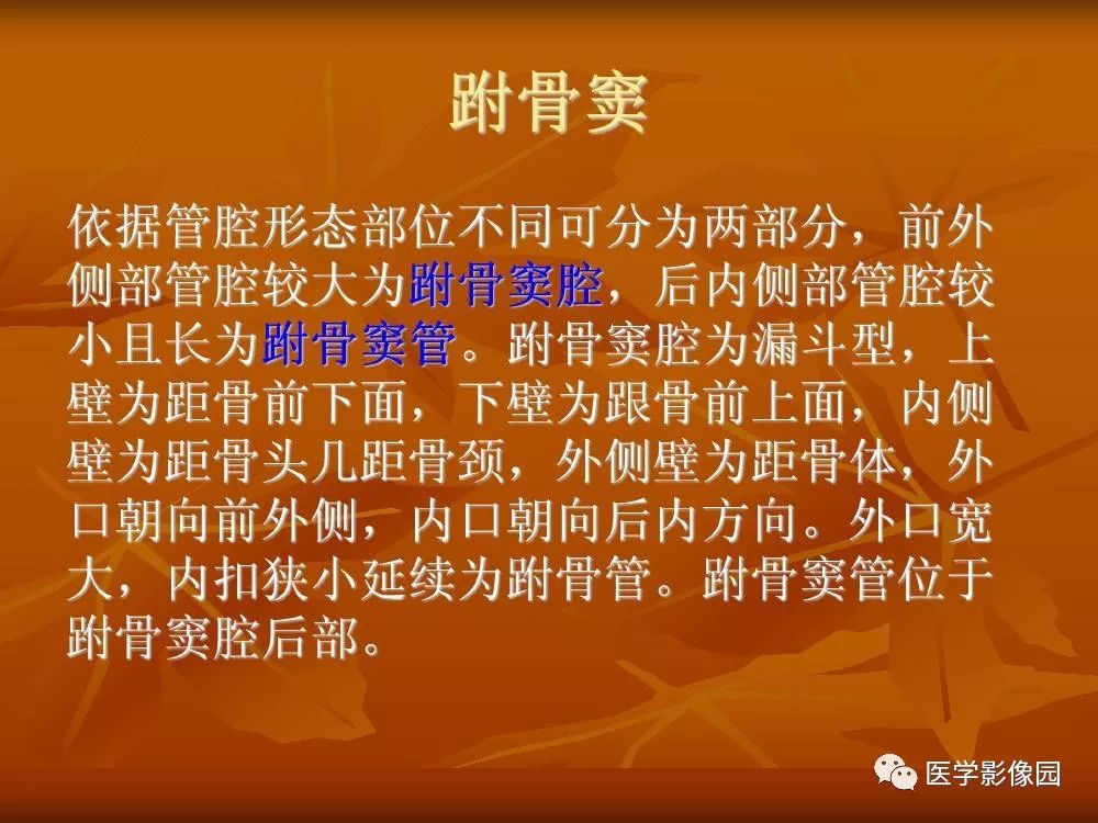 【PPT】踝关节韧带的解剖及影像表现