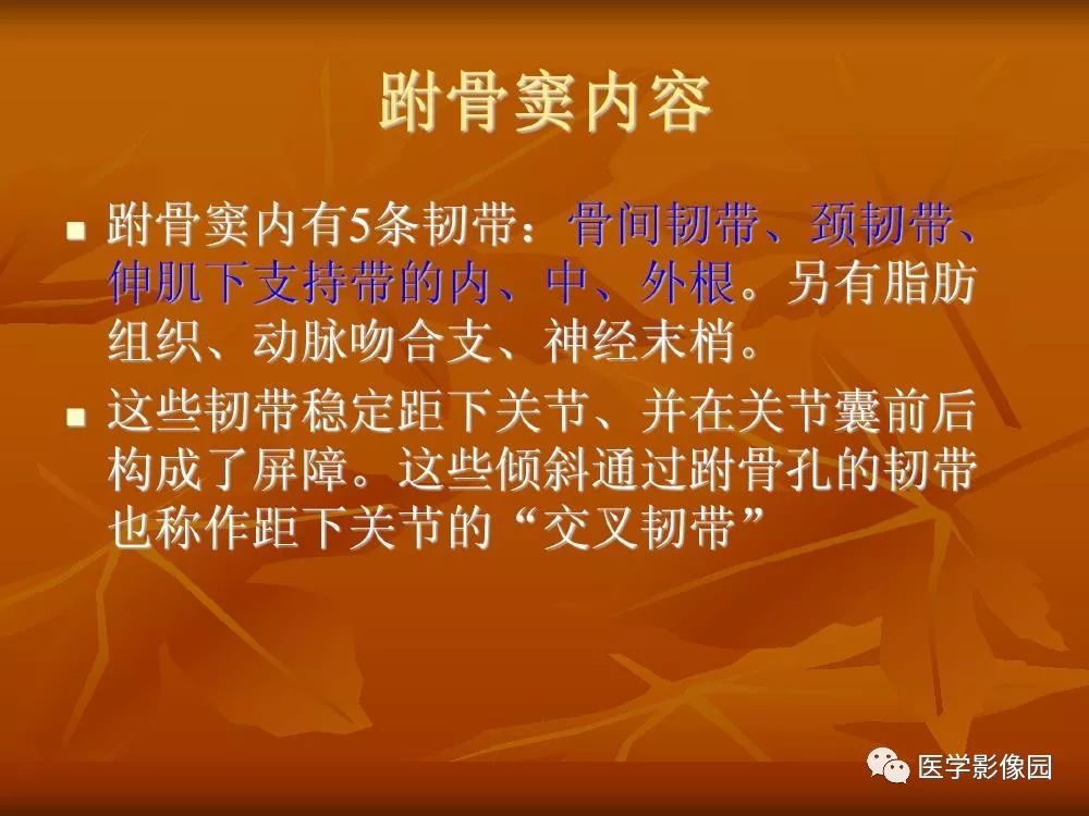 【PPT】踝关节韧带的解剖及影像表现