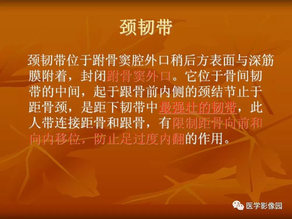 【PPT】踝关节韧带的解剖及影像表现